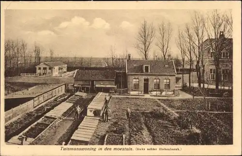 Ak Alphen aan den Rijn Südholland, Martha-Stichting, Tuinmanswoning