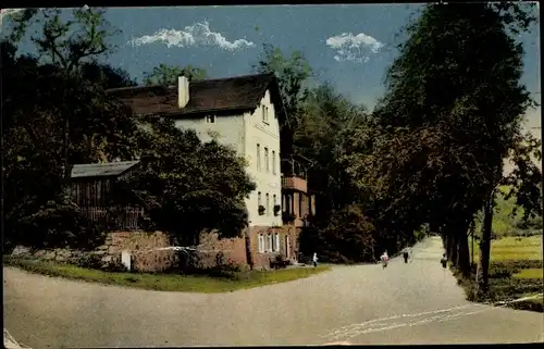 Ak Döbeln Sachsen, Schweizerhaus mit Straße u. Wiese