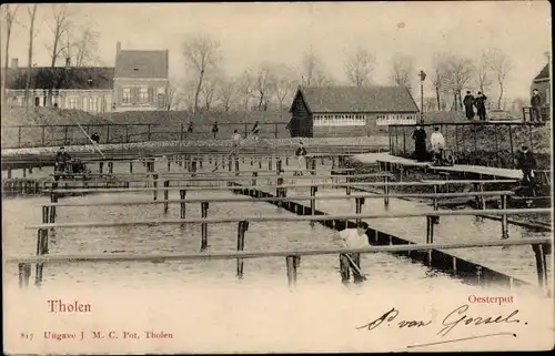 Ak Tholen Zeeland Niederlande, Oesterput