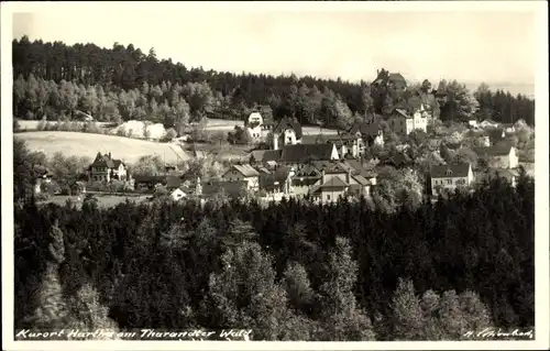 Foto Ak Hartha Hintergersdorf Tharandt im Erzgebirge, Blick auf den Ort, Tharandter Wald