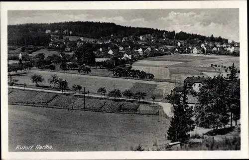 Ak Hartha Hintergersdorf Tharandt im Erzgebirge, Panorama