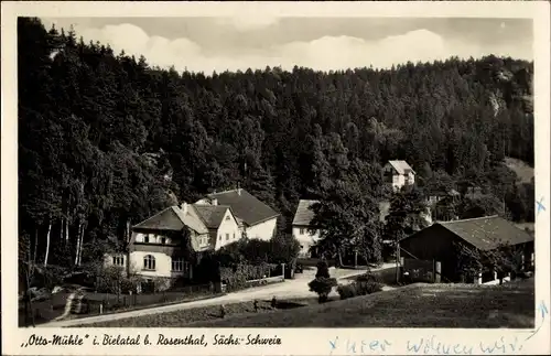 Ak Rosenthal Bielatal Sächsische Schweiz, Otto Mühle, Wald
