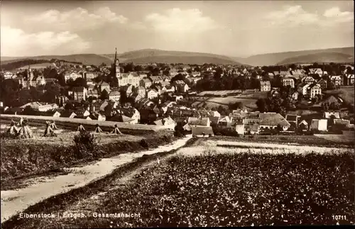 Ak Eibenstock im Erzgebirge Sachsen, Gesamtansicht