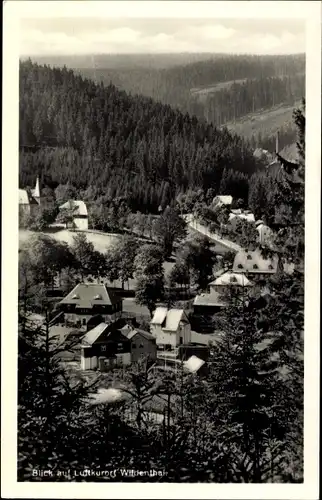 Ak Wildenthal Eibenstock im Erzgebirge, Teilansicht