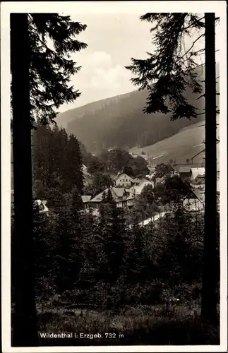 Ak Wildenthal Eibenstock im Erzgebirge, Talblick