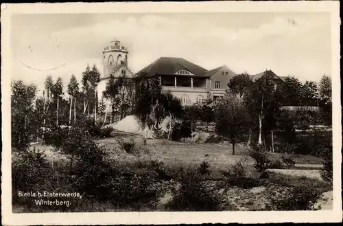 Ak Biehla Elsterwerda in Brandenburg, Blick zum Winterberg, Unterkunftshaus