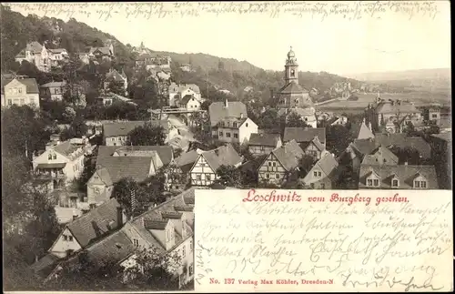 Ak Dresden Loschwitz, Stadtteil vom Burgberg gesehen