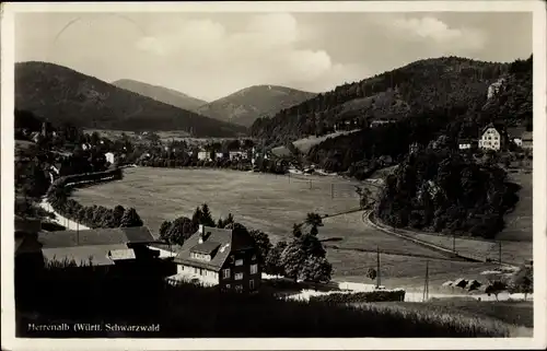 Ak Bad Herrenalb im Schwarzwald, Panorama