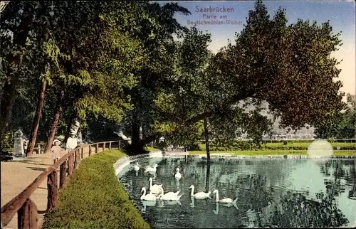 Ak Saarbrücken im Saarland, Partie am Deutschmühlen-Weiher, Schwäne, Park