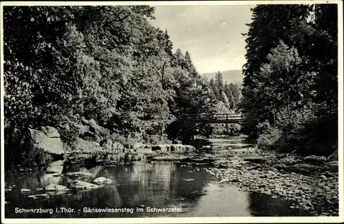 Ak Schwarzburg im Schwarzatal Thüringen, Gänsewiesensteg im Schwarzatal