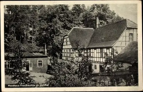 Ak Eisenberg in Thüringen, Froschmühle, Mühltal