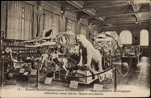 Ak Monaco, Musée Océanographique, zoologique