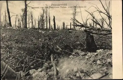 Ak Lothringen Meurthe et Moselle, Priesterwald, zerstörter Wald, I WK