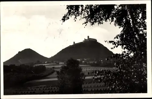 Ak Bezděz Schloßbösig Region Reichenberg, Ruine Bösig, Burg