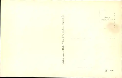 Ak Weißensee in Kärnten, Panorama