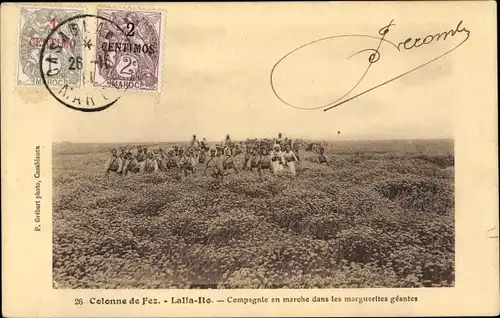 Ak Lalla Ito Marokko, Colonne de Fez, Compagnie en marche dans les marguerites geantes