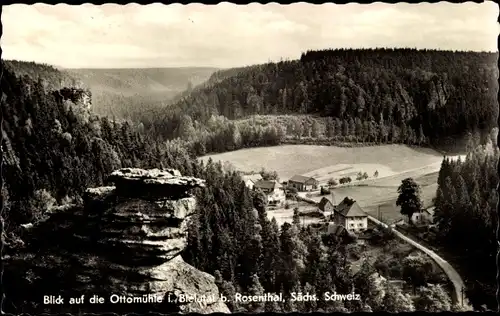 Ak Ottomühle Rosenthal Bielatal Sächsische Schweiz, Blick auf die Ottomühle