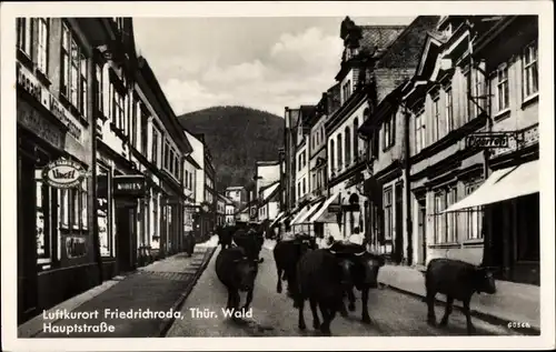 Ak Friedrichroda im Thüringer Wald, Hauptstraße, Kühe, Geschäfte