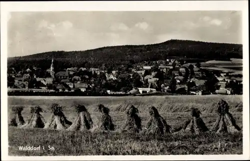 Ak Walddorf Kottmar in der Oberlausitz, Blick auf den Ort mit Umgebung