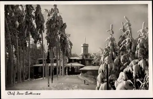 Ak Walddorf Kottmar in der Oberlausitz, Kottmarberg-Baude