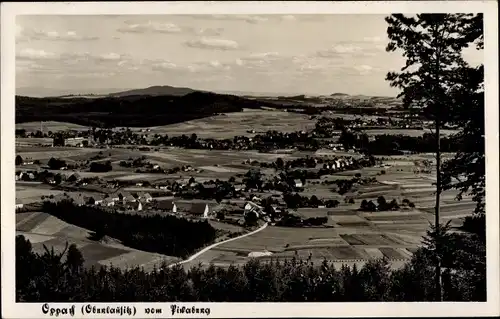 Ak Oppach in Sachsen, Blick auf den Ort, Umgebung, Felder