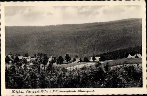 Ak Holzhau Rechenberg Bienenmühle Erzgebirge, Panorama