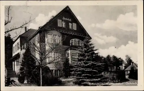 Ak Gohrisch Sächsische Schweiz, Erholungsheim Haidehof