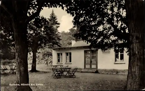 Ak Hörnitz Oberlausitz, Koitsche, Betriebsferienheim VEB Kraftverkehr Dresden, Terrasse