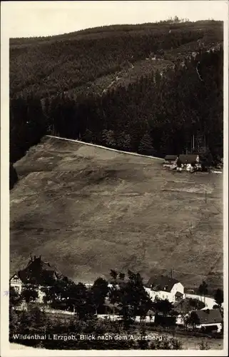 Ak Wildenthal Eibenstock Erzgebirge, Blick zum Auersberg