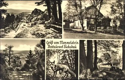 Ak Brotterode in Thüringen, Mommelstein, Restaurant Fuchsbau
