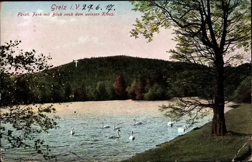 Ak Greiz in Thüringen, Fürstl. Park mit Blick nach dem weissen Kreuz, Schwäne