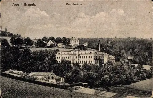 Ak Aue Erzgebirge, Sanatorium mit Umgebung, Wälder