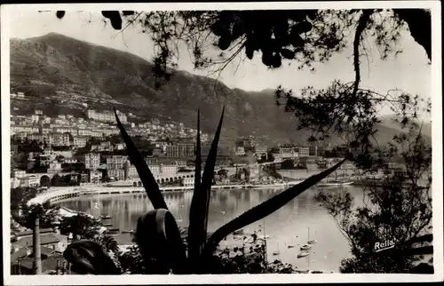 Ak Monte Carlo Monaco, Le Port d'Hercule et Monte Carlo