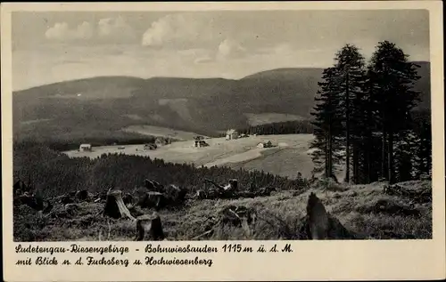 Ak Lučiny Bohnwiesbauden Region Königgrätz Tschechien, Fuchsberg