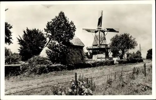 Ak Havelte Drenthe Niederlande, Hotel-Restaurant-Pension Götz, Windmühle