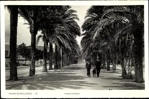 Foto Ak Palma Mallorca Balearische Inseln, Paseo Sagrera, Allee