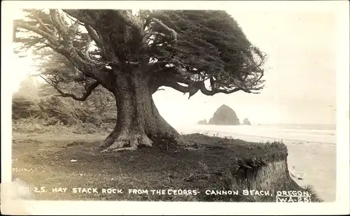 Ak Oregon USA, Hay Stack Rock from the Cedars, Cannon Beach