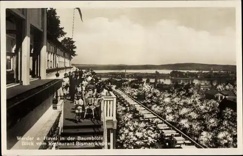 Ak Werder an der Havel, Baumblütenfest, Blick vom Restaurant Bismarckhöhe