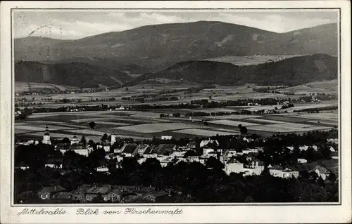 Ak Międzylesie Mittelwalde Schlesien, Blick vom Hirschenwald, Ort