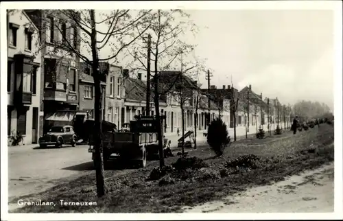 Ak Terneuzen Zeeland Niederlande, Grenulaan