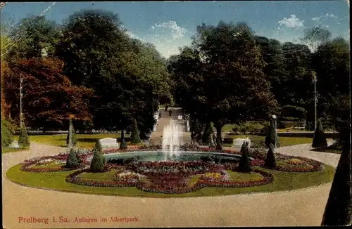 Ak Freiberg in Sachsen, Anlagen im Albertpark