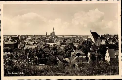 Ak Freiberg in Sachsen, Panorama