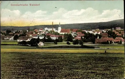 Ak Walddorf Kottmar in der Oberlausitz, Panorama vom Ort