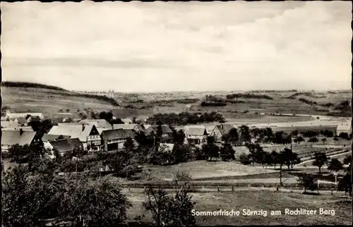 Ak Sörnzig Seelitz in Sachsen, Sommerfrische am Rochlitzer Berge, Panorama