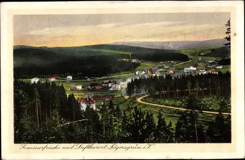 Ak Jägersgrün Muldenhammer im Vogtland, Panorama