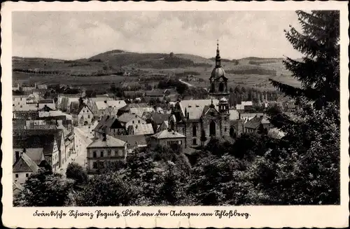 Ak Pegnitz in Oberfranken, Blick von den Anlagen am Schlossberg
