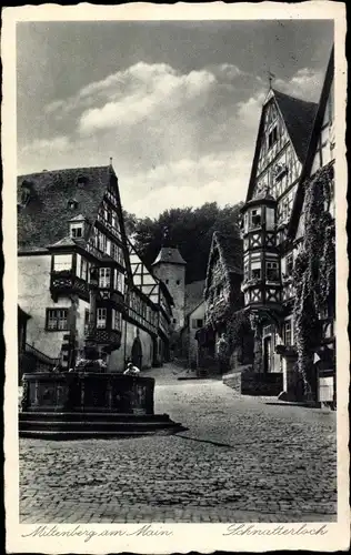 Ak Miltenberg am Main Unterfranken, Schnatterloch