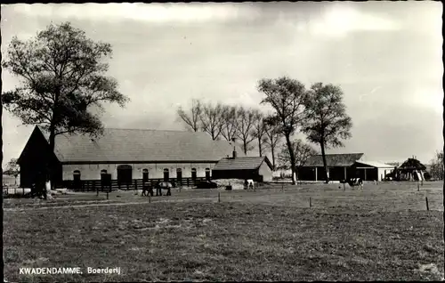 Ak Kwadendamme Borssele Borsele Zeeland Niederlande, Boerderij