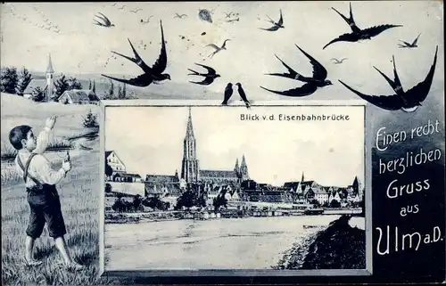 Passepartout Ak Ulm an der Donau Baden Württemberg, Blick von der Eisenbahnbrücke, Schwalben, Junge