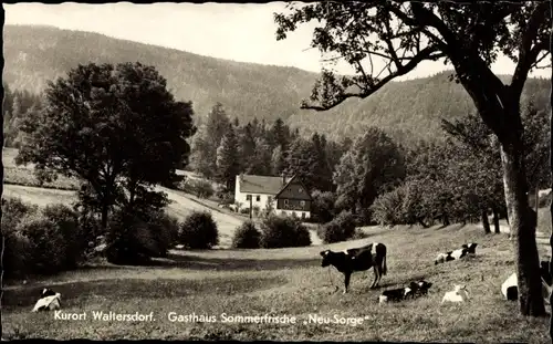 Ak Waltersdorf Großschönau in Sachsen, Gasthaus Sommerfrische Neu Sorge